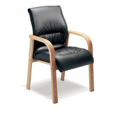 Salvador Executive 4 Legged Visitors Chair